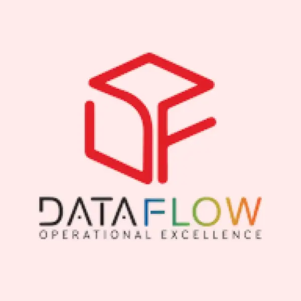 Dateflow logo